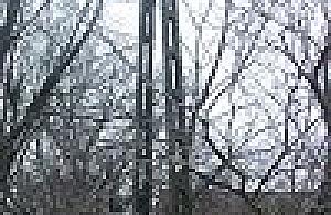 Mają dość gasnącego światła