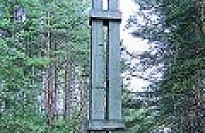 Słupy w lesie recyklingują się same