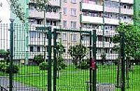 Prawie jak w zoo