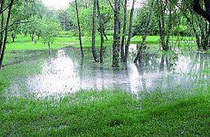 Woda dostała się do parku
