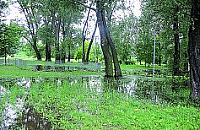 Drzewa mog� si� przewr�ci�