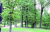 Linarium za milion