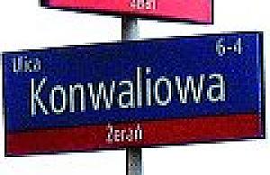 Z wjazdu robią wyjazd...