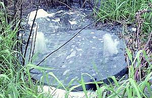 Odbierzmy partiom samorząd lokalny