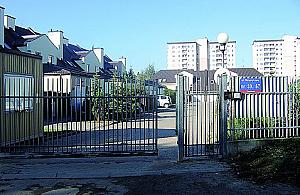 Znęcają się nad psami