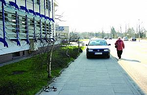 Urząd zezwala na bezprawie