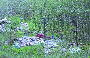 Sprzątanie Kampinosu