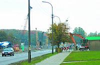 Pokłosie po wyrębie