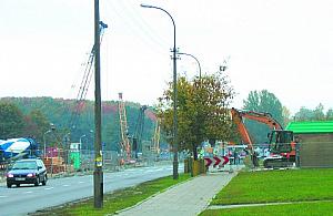 Pokłosie po wyrębie