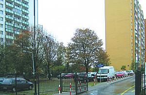 Chomiczówka się odcina