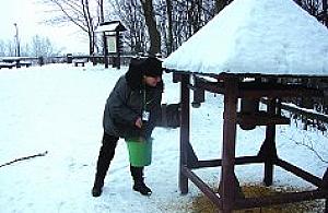 Leśne i parkowe stołówki