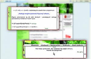 Burmistrz jest tajny!