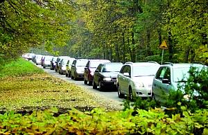 Przyroda znów w niebezpieczeństwie