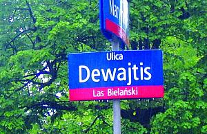 Minister zezwolił na zniszczenie lasu