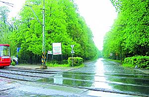 Dewajtis - kolejne starcie