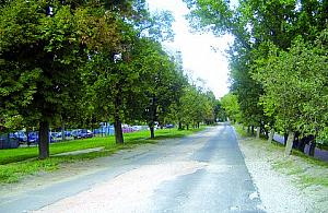 Rozgrzebana Gwiaździsta