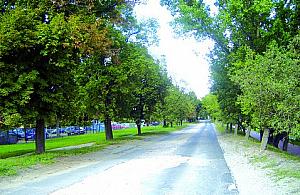 Jakie plany na rok przyszły?