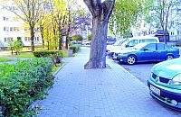 Wybrali parking