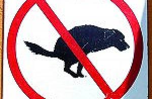 Bo komu by się chciało?