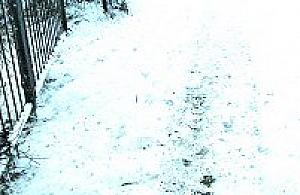 Gdzie sens, gdzie logika?