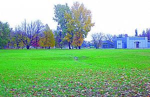 Serek handlowy czy na sprzedaż?