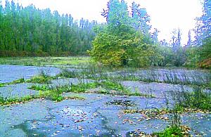 Bój o osiedle w hucie