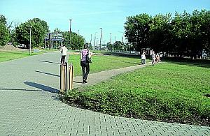 Echo roku mijającego