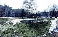 Zniszczono ziele� na Staffa