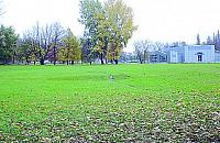 Kto ma apetyt na Serek?