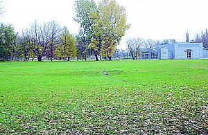 Kto ma apetyt na Serek?