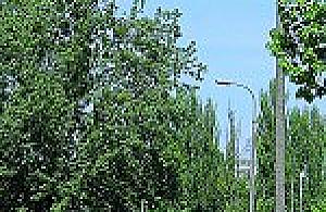 Zaniedbane oświetlenie