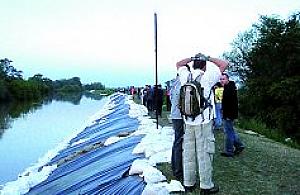 Wojsko zbędne, TV potrzebna