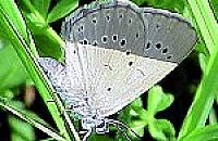 S7 - trasa pełna emocji