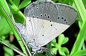 S7 - trasa pełna emocji