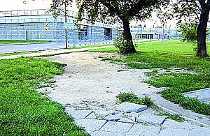 Zaniedbany, a taki wygodny