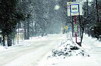 Bielany pod �niegiem