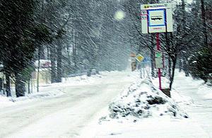 Bielany pod śniegiem
