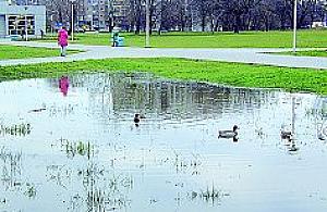 Echo roku mijającego