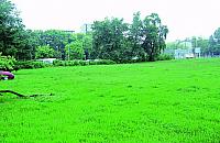 Bielański serek: pokroją i sprzedadzą