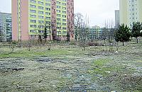 Nielegalne wysypisko