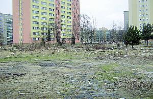 Nielegalne wysypisko