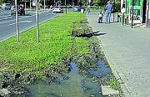 Dość rozjeżdżania trawnika