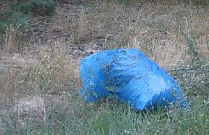 Śmieciowy w Jabłonnie?