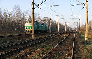 Do Warszawy przez las?