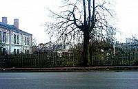 Siostry powalcz� z przemoc�