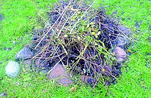 Ekologiczne ciepło, nowe miejsca pracy?