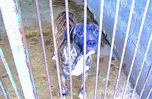 Żeby przestali wyrzucać...