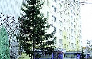 Bardzo drogie korytarze