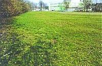 Chcemy wi�cej