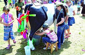 Mućka była cierpliwia